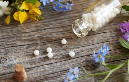 Descubre los beneficios de las plantas medicinales