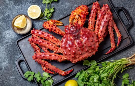 Las comidas más exóticas del mundo