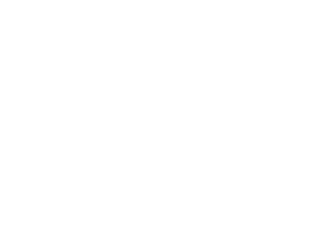 AniStudios